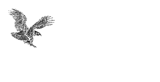 Eagle Alloy Logo